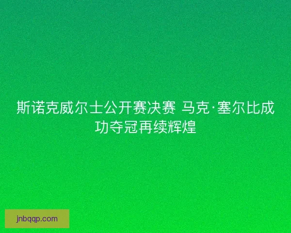 斯诺克威尔士公开赛决赛 马克·塞尔比成功夺冠再续辉煌